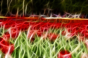 ���������㻨�Գ���