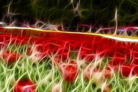 ���������㻨���޿�