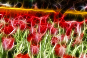 ���������㻨��װ�λ�