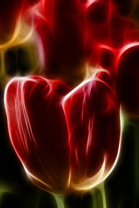 ����������װ���޿�