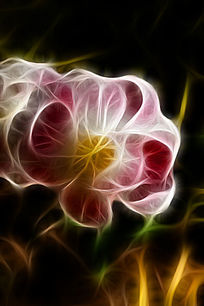 �ʺ�����