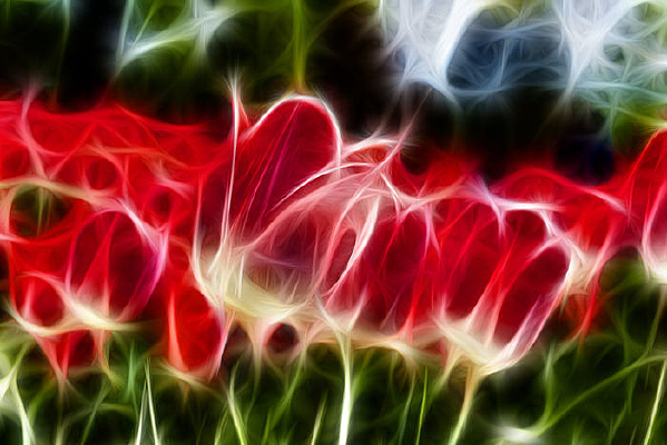 �ξ����������