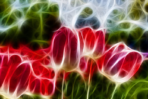 �ξ��������޿�