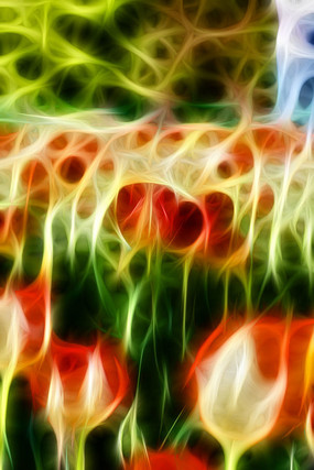 �������������