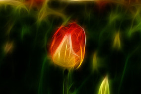 �������������������