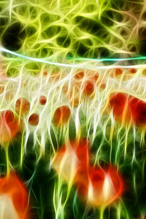 �����������޿�