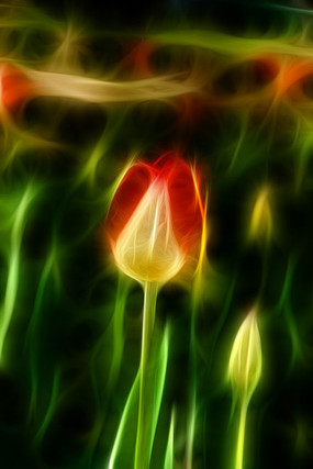 �����������޿򻭳���