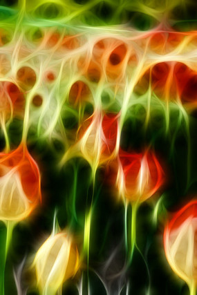 ����������������