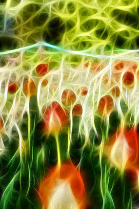 ����������װ�λ�