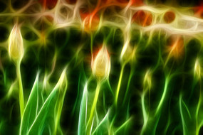 ����������װ�λ�����������