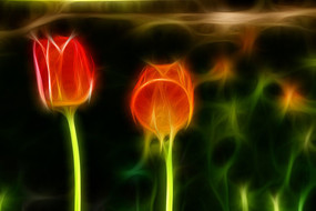 ����������װ�λ��޿򻭳���������