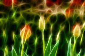 ����������װ���޿����������