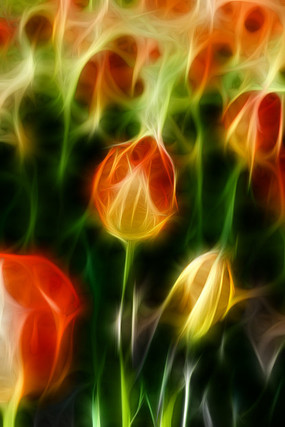 ����������װ���޿�