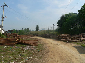ľĳ·