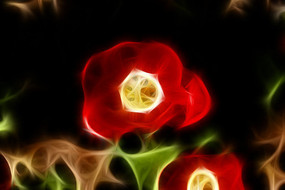 ����������