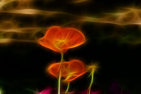 ��ɫ������