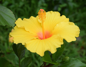 ʢ�������޻ƻ�