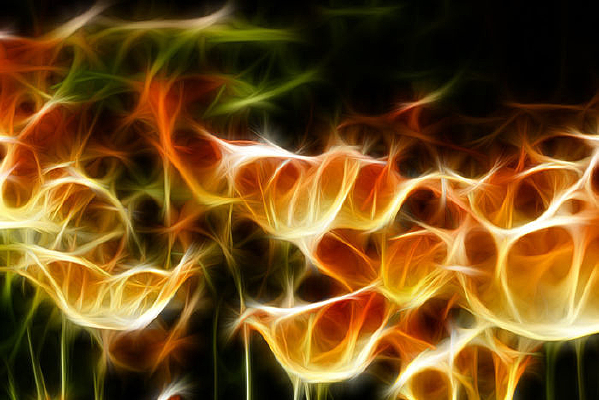 ���������������