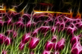 ˶��ۺ�������װ�λ��޿򻭳���������