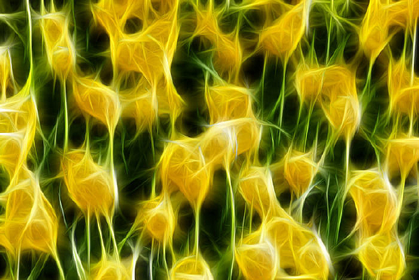 ����̫��