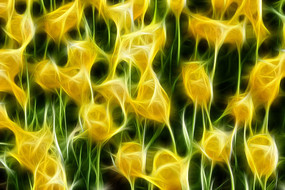 ̫��������װ�λ��޿�