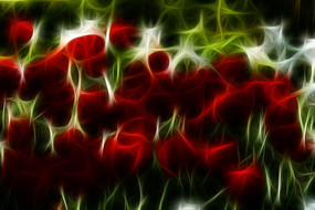 �������������������