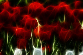 �����������޿򻭳���