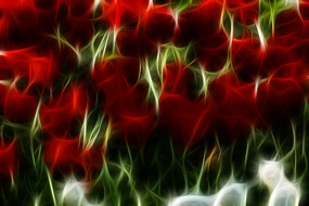 ����������װ�γ���������