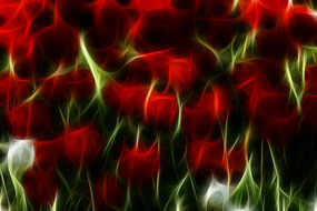 ����������װ�λ�����������