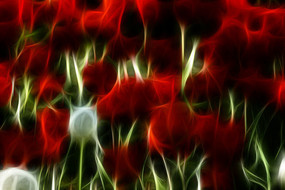 ����������װ�λ��޿�