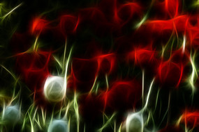 ����������װ���޿����������