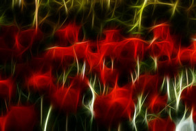 ����������װ���޿�������