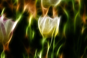 ����������װ�λ������������޿�