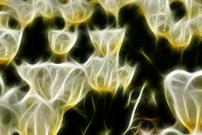 ѩɫ���������������