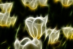 ѩɫ�������޿����