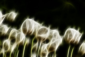 �����������޿����������