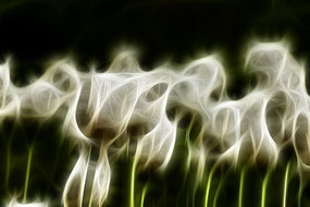 ����������װ���޿����