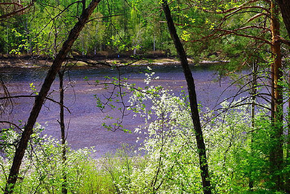 ������ĺ���