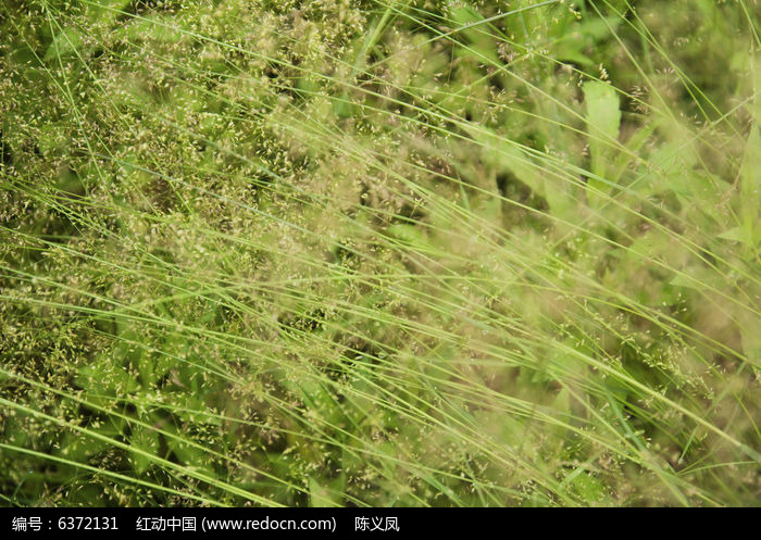 ���µĲ�ͼƬ