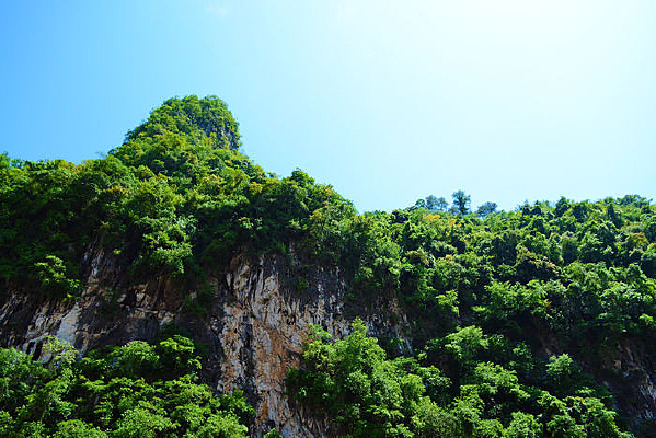 �����ͱ�