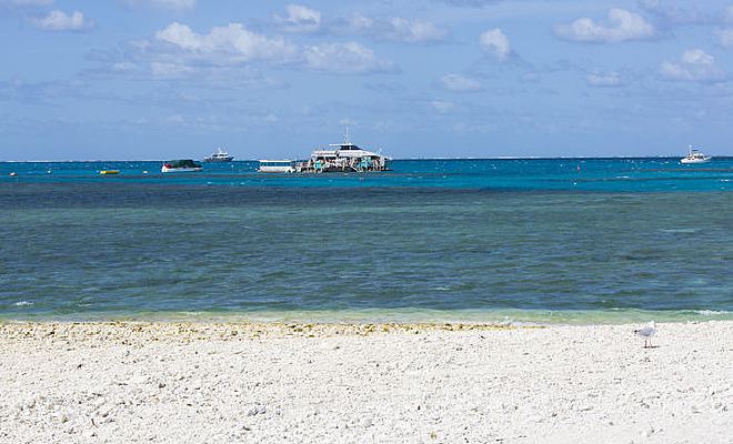 ���ϵ�С��