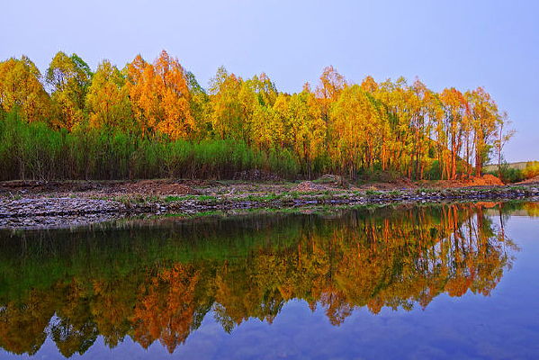 ���ϴ���