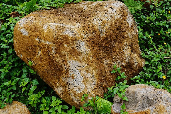 ���ֹ�԰����