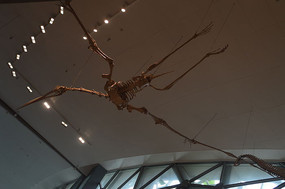 ����ݶ���Ǽ�