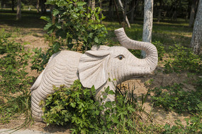 ����ʯ��