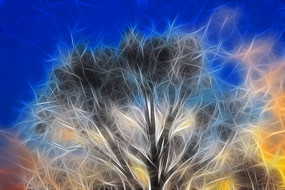 ���Ի�����ľ��ϼ��