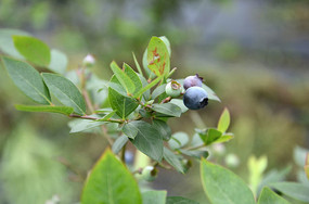 ������д