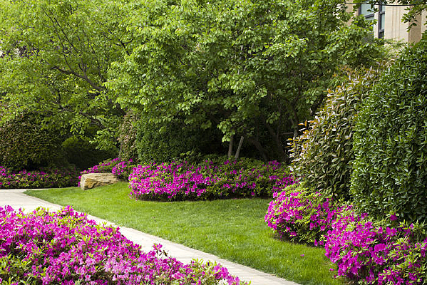 ��ʯ����