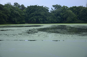 ����ˮ��