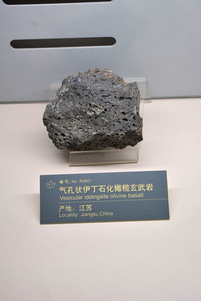 ��������״���������